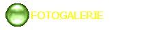  FOTOGALERIE